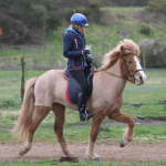 crissie 2