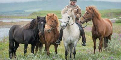 Award ceremony of the photo competition 2021