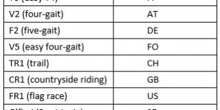 Competition Classes – FEIF Youth Cup 2022