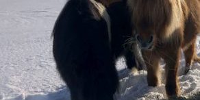 2021 – The Year that went… well, not quite as planned