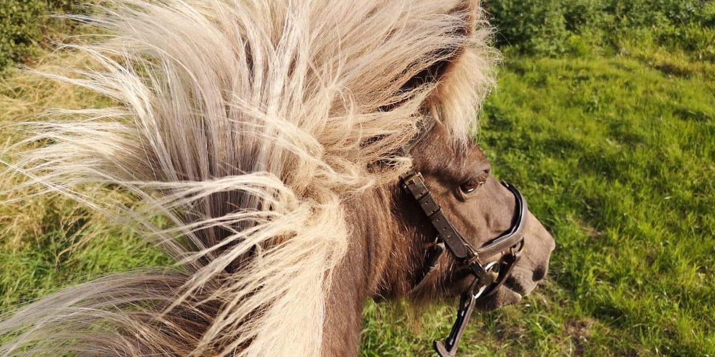 D0C16B3A-D000-4A67-974F-F430D6D750F9