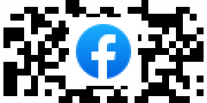 FEIF on Facebook and Instagram