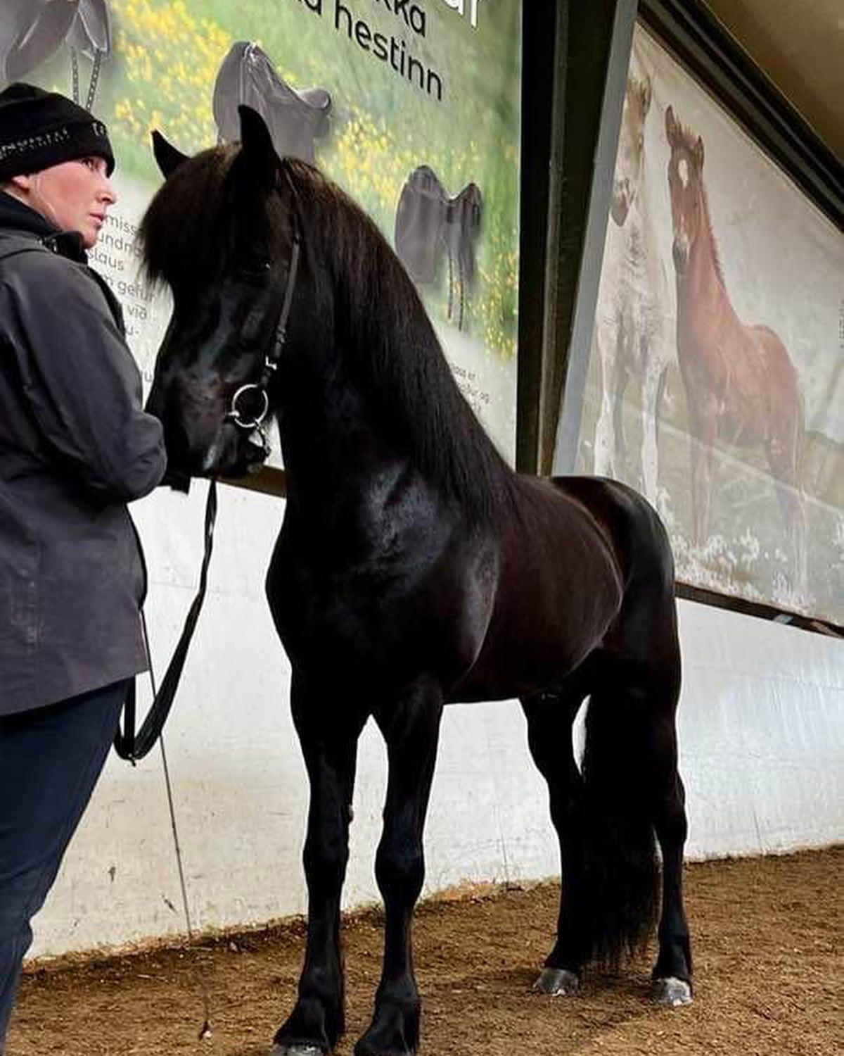 New World RecordToday the world record was yet again broken. Viðar frá ...