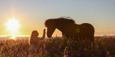 Photo competition “Friendship” – voting is over